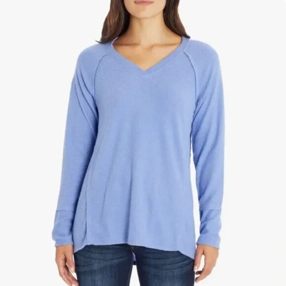 WILDFOX Women Haley Sweater Long Sleeve V Neck Pullover Sz L Blue Soft Casual